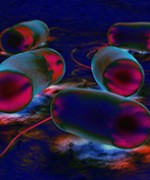 © 3d4 medical/medical images