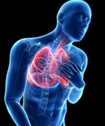 © science rf/stock.adobe.com
